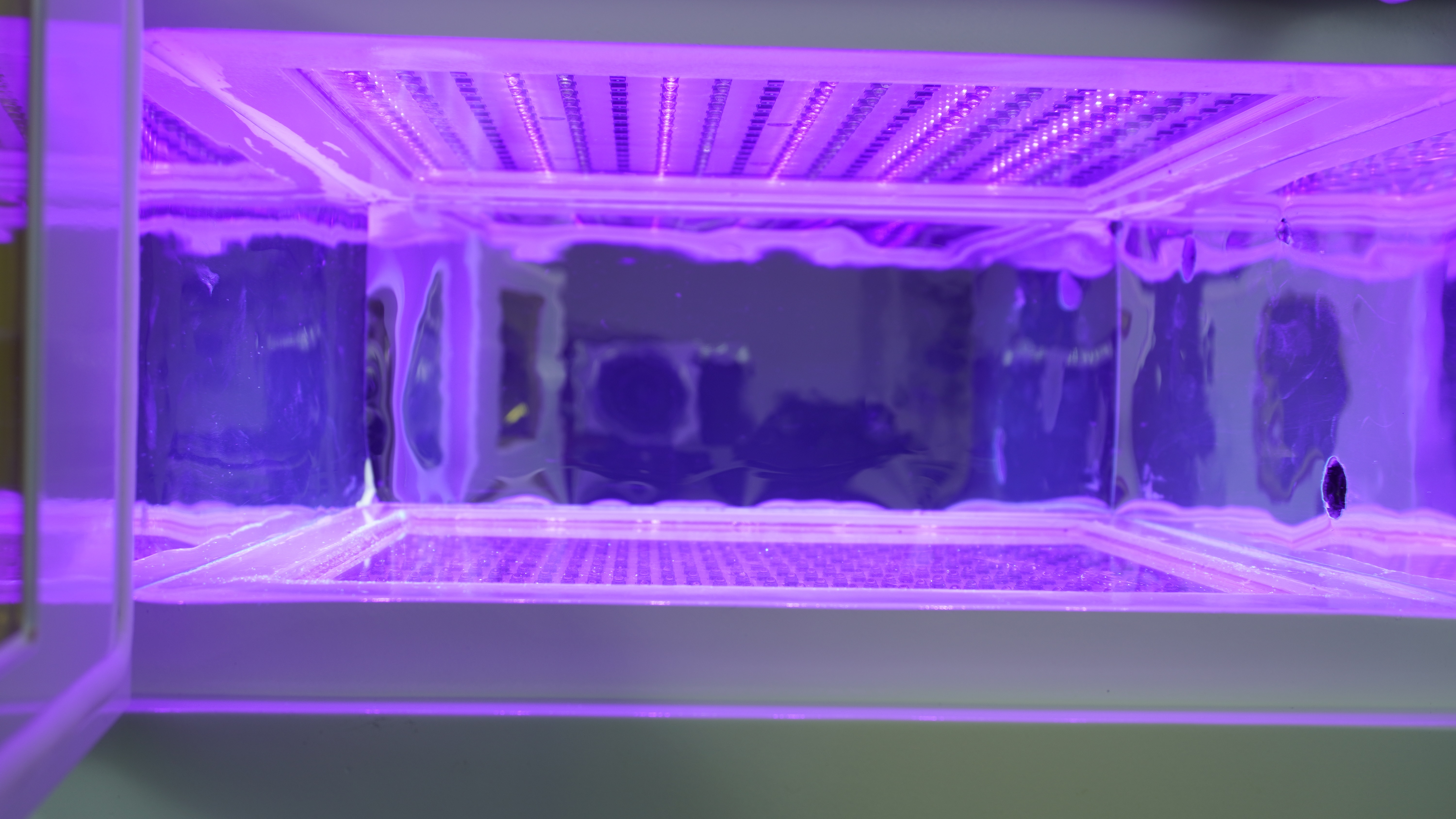 UV LED Lamp Curing Chamber Quad-Wavelength N2 Inert Gas 395nm OCA Optical Adhesive for Display Panel Semiconductor Laminating