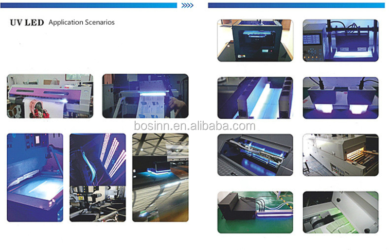 UV Curing System Details