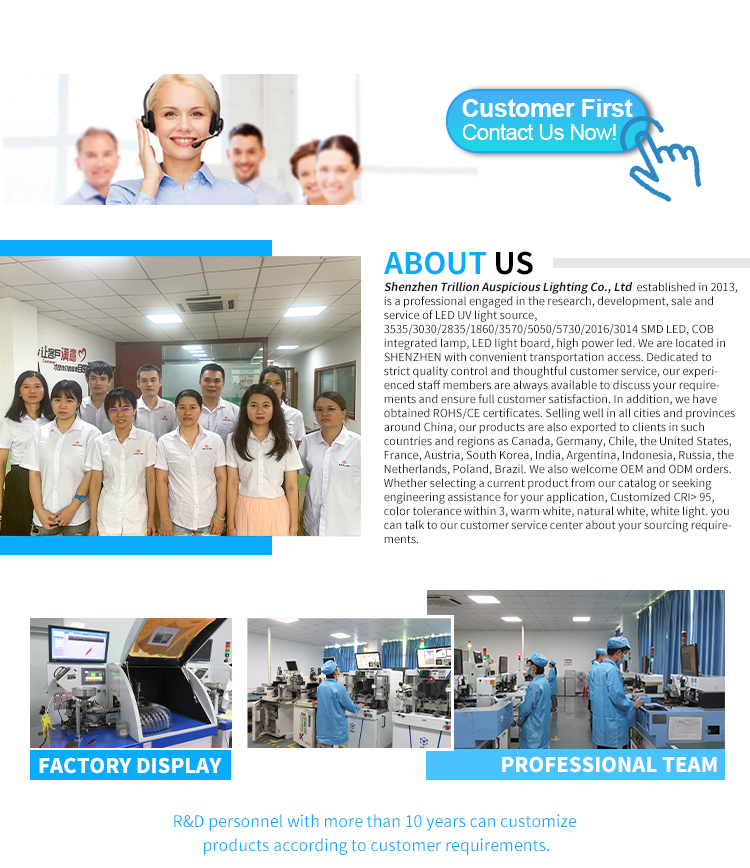 Company Profile and Factory Environment