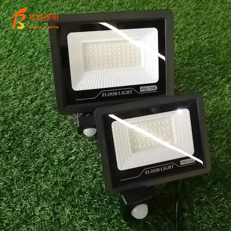 Hot Uv Curing Lamps 10W 20W 50W 100w 150w 200w 500w High Power UV Ultraviolet Blacklight IP65 Waterproof Led UV Flood Light 80