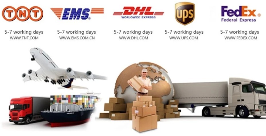 Shipping Logistics