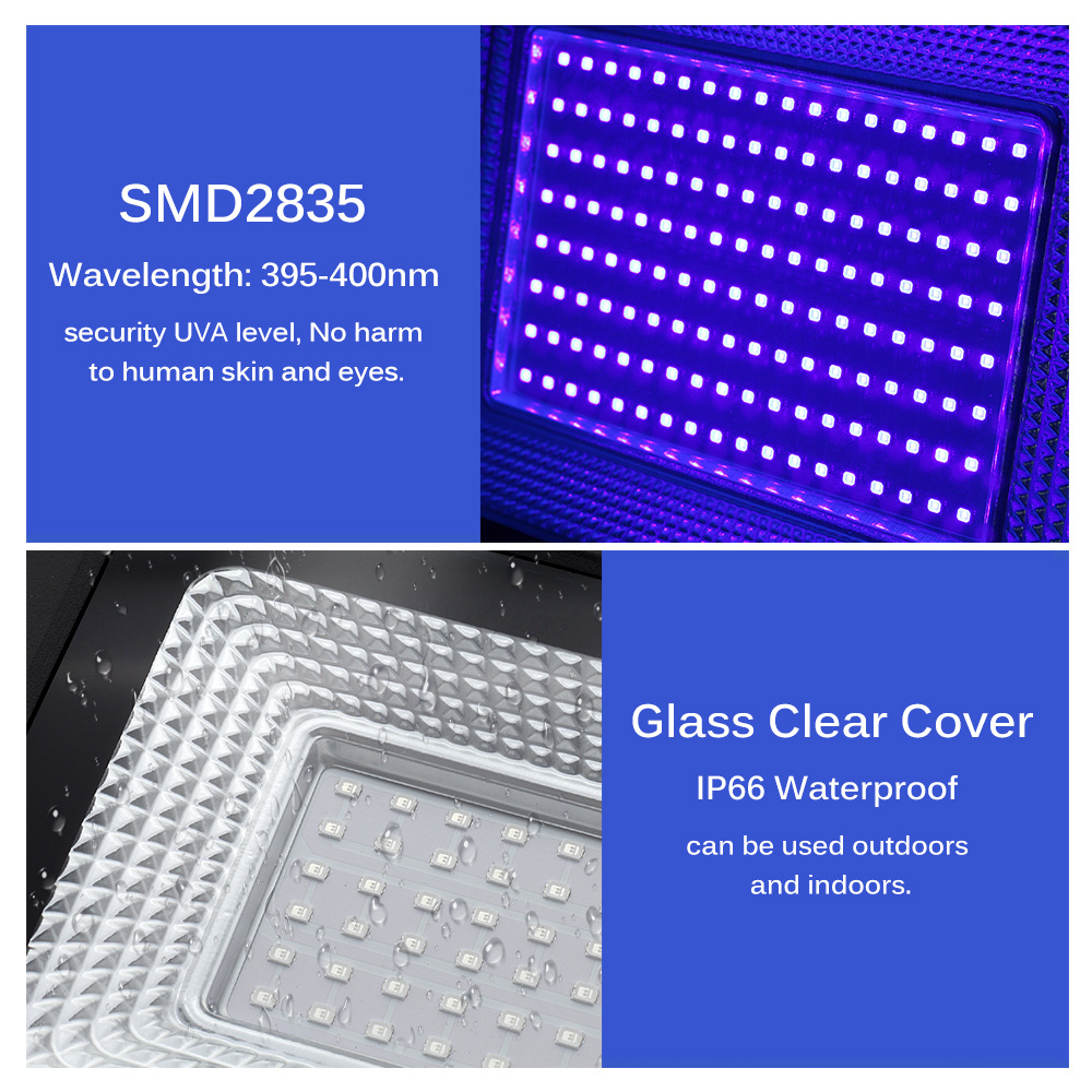 Raylights UV Curing Lamp 395nm Fluorescent Detection Shadowless Glue LED Purple Light Floodlight Aluminum 220V 50000 Hours