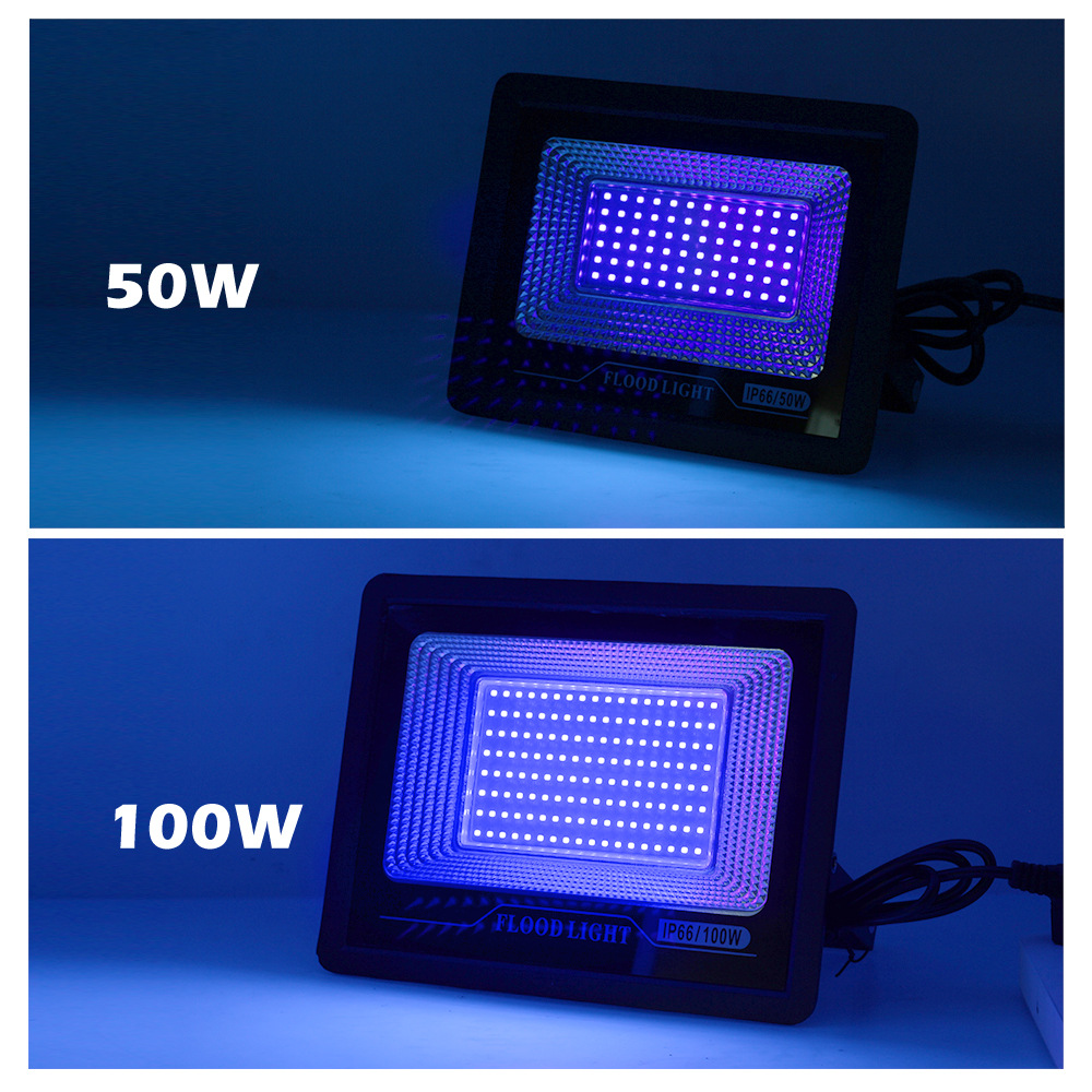 Raylights UV Curing Lamp 395nm Fluorescent Detection Shadowless Glue LED Purple Light Floodlight Aluminum 220V 50000 Hours