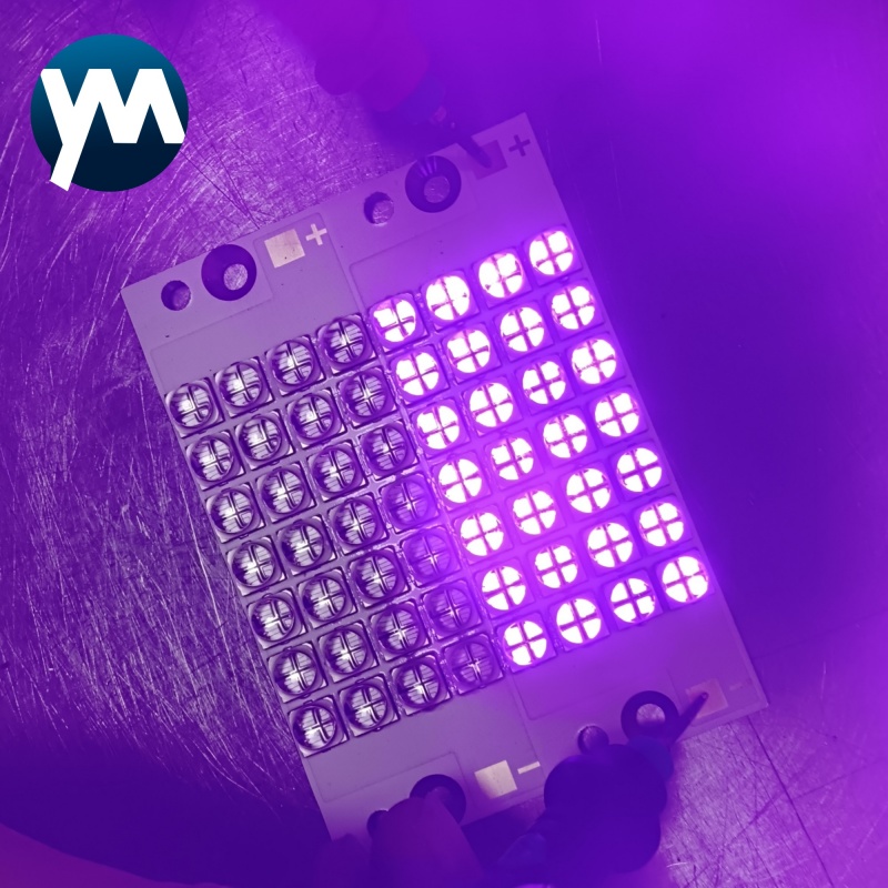 Professional 560W UV LED 6565 Light Module 395nm Curing Lamp with Import Chip Quartz Lens for Industrial Screen Printing