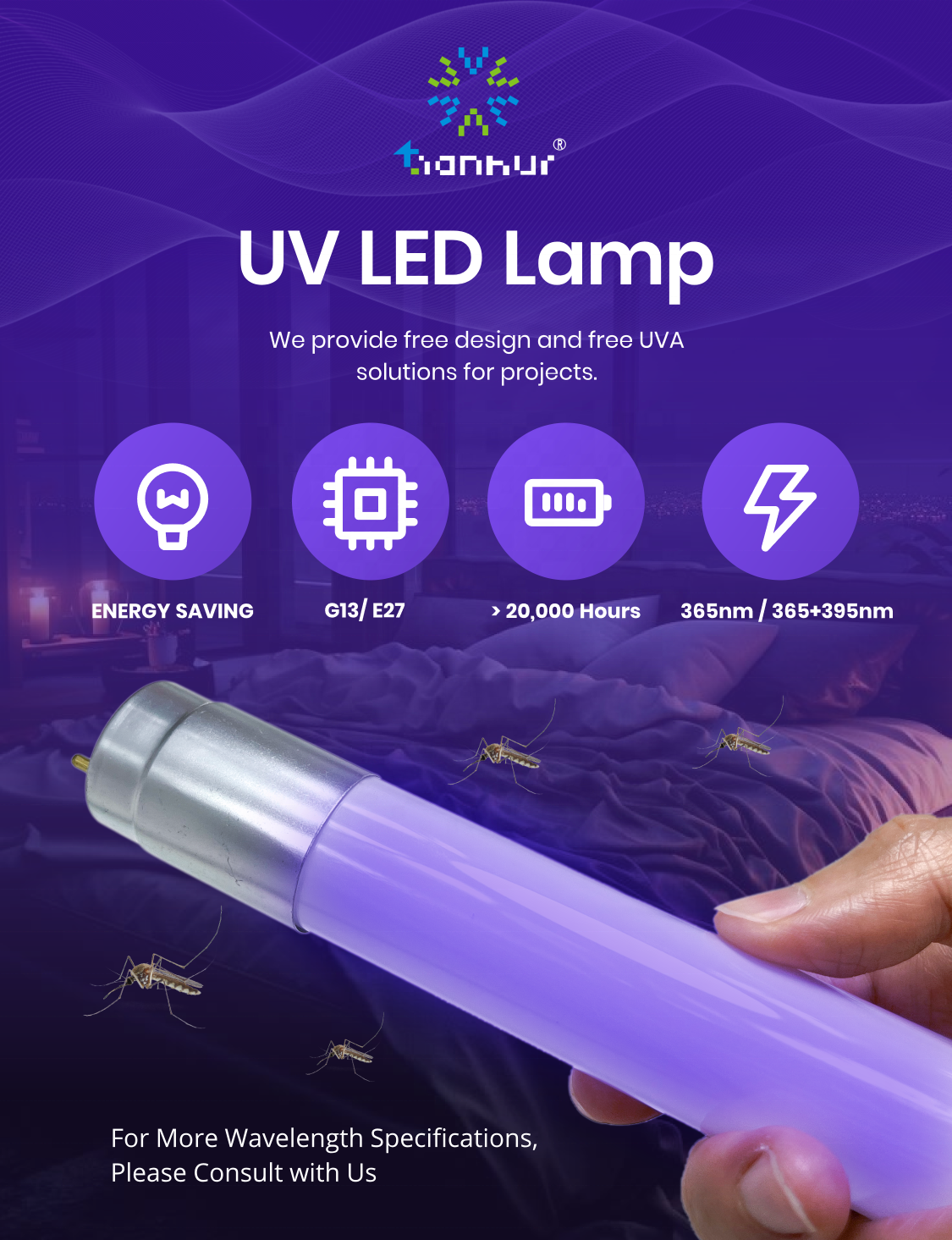 Attract Mosquitoes with Light