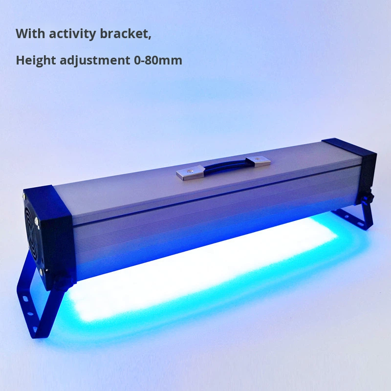 Raylights LED Portable UV Curing Lamp Ultraviolet Shadowless Glue Printing Plate Ink Green Oil Exposure 110V/220V