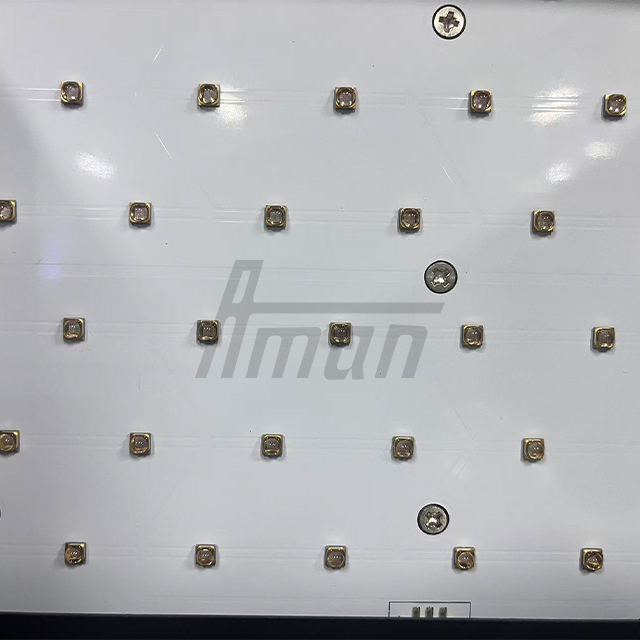 Product Detail 5