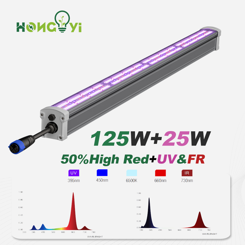 UCL Dual Channel 4FT 125W+25W Canopy LED High RED FAR RED UV Bloom Light IP65 Boost20-30% Harvest For Growing Daisy-Chained