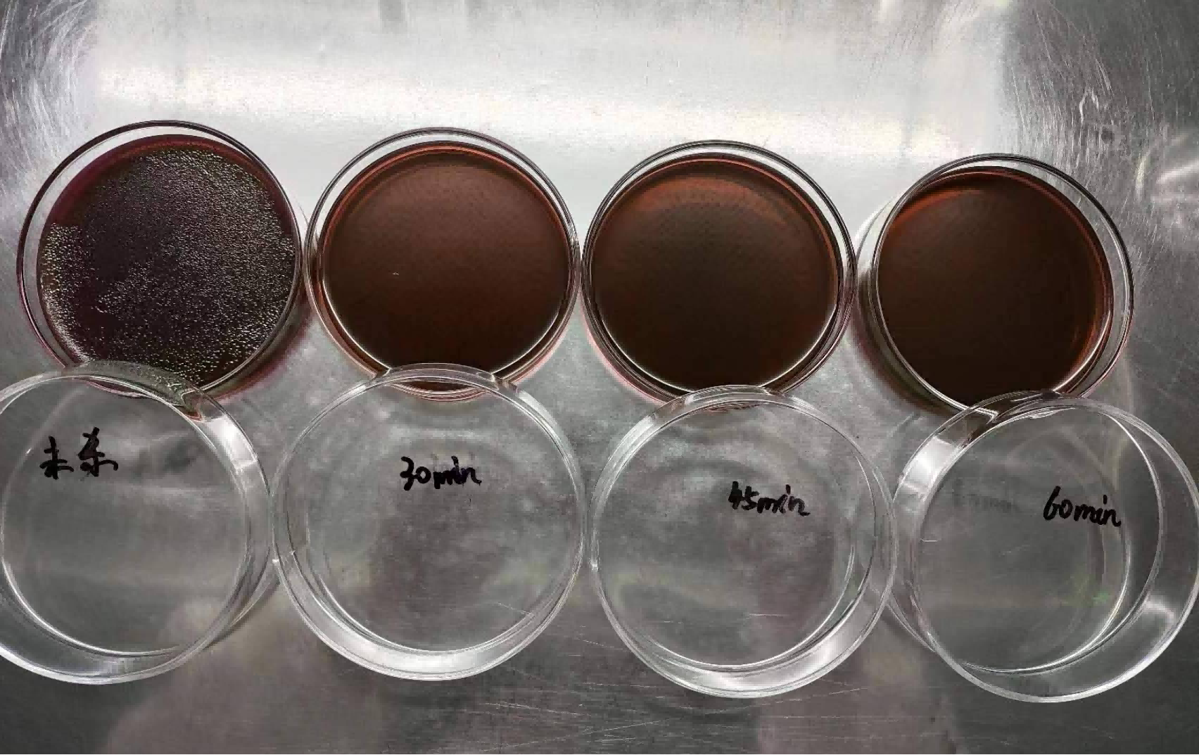 Microbiology Lab Test 2