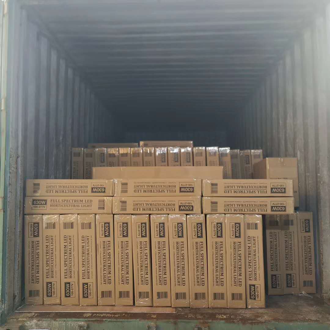 Packing and Delivery Image 4