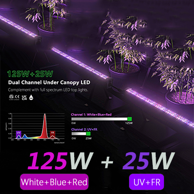 UCL Dual Channel 4FT 125W+25W Canopy LED High RED FAR RED UV Bloom Light IP65 Boost20-30% Harvest For Growing Daisy-Chained
