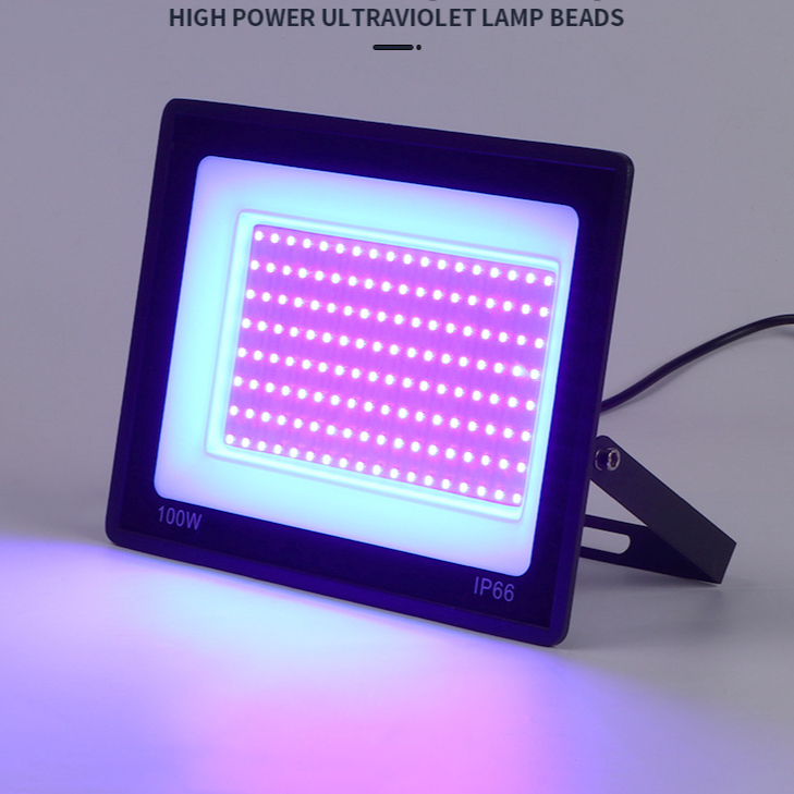 UV Flood Light Features
