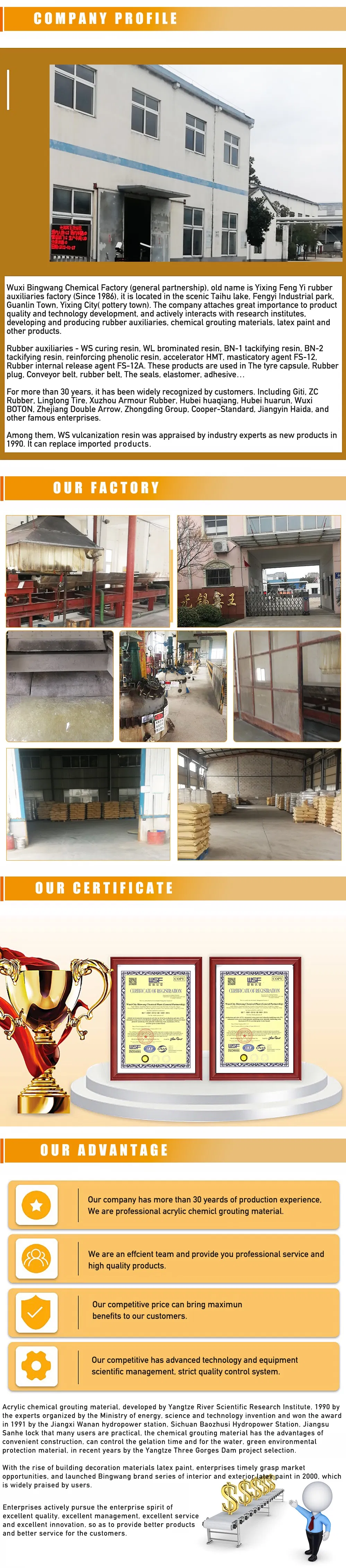 Company Profile