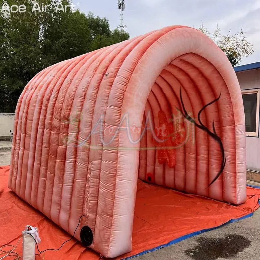 Customized Inflatable Cecum Model Inflatable Event Promotion Intestine for Display Safety Education