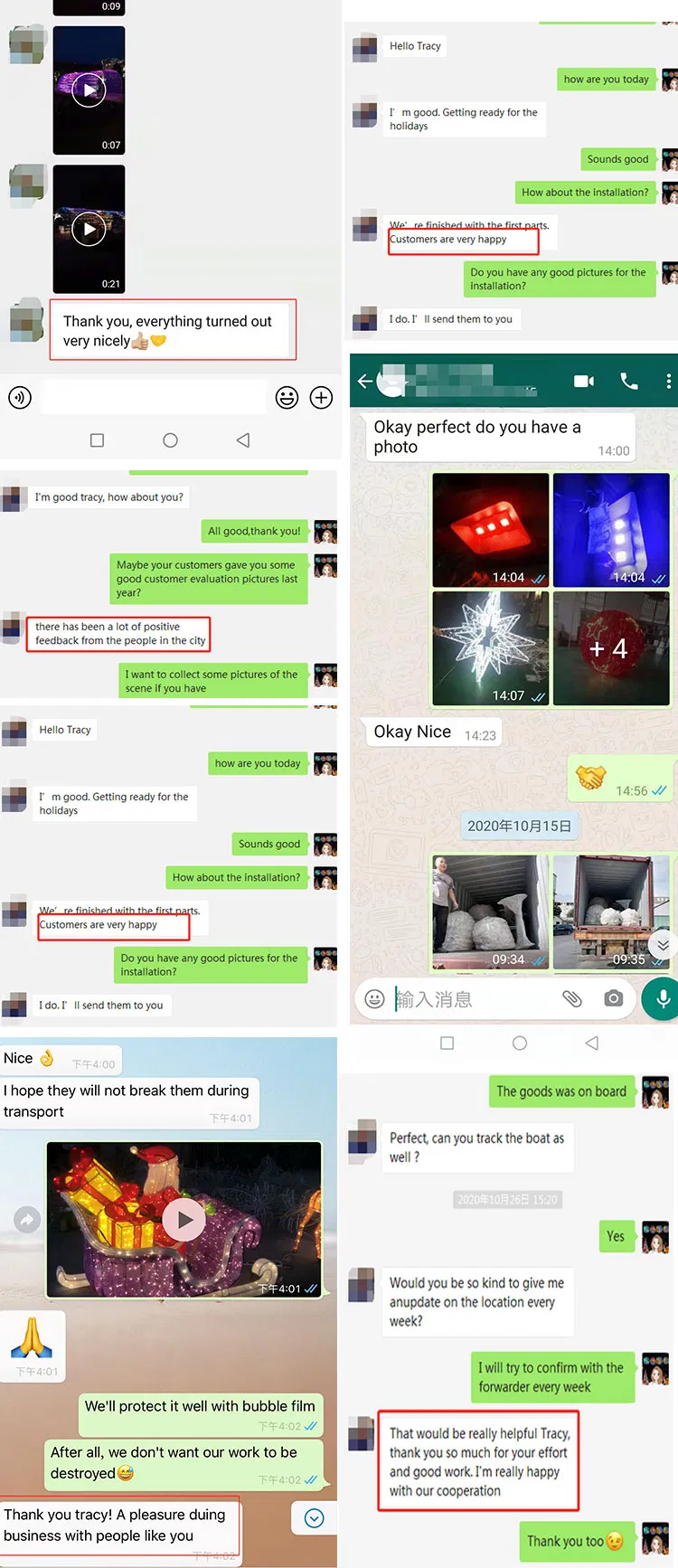 Chinese Animal Lantern 4