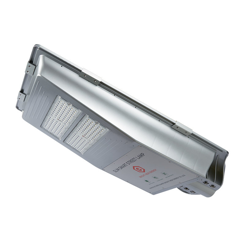 LED PAR Lights CE/IEC/RoHS Certified LiFePO4 Battery OEM LED Chip Outdoor Solar Powered Street Light Holiday Lighting