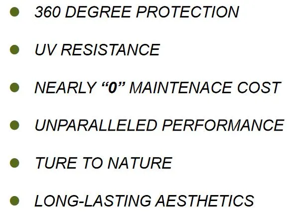 Co-Extruded WPC Decking Detail