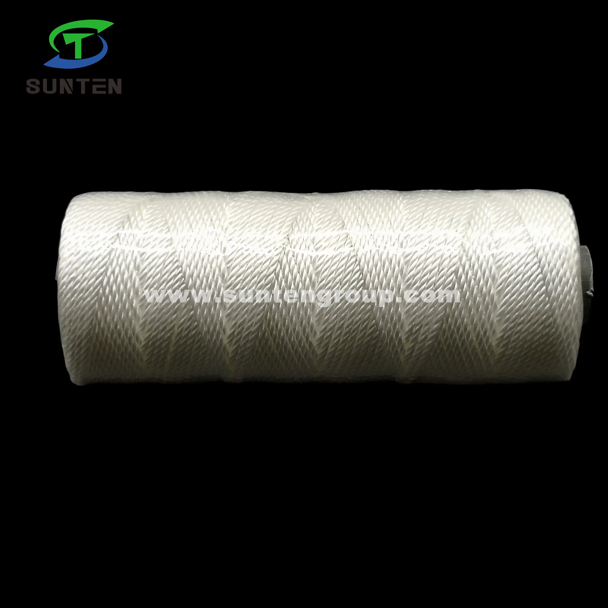 High Tenacity White PE/PP/Polyester/Nylon Plastic Twisted/Braided/Braid/Baler/Thread/Packing Line/Fishing Net String by Spool/Reel/Bobbin/Hank