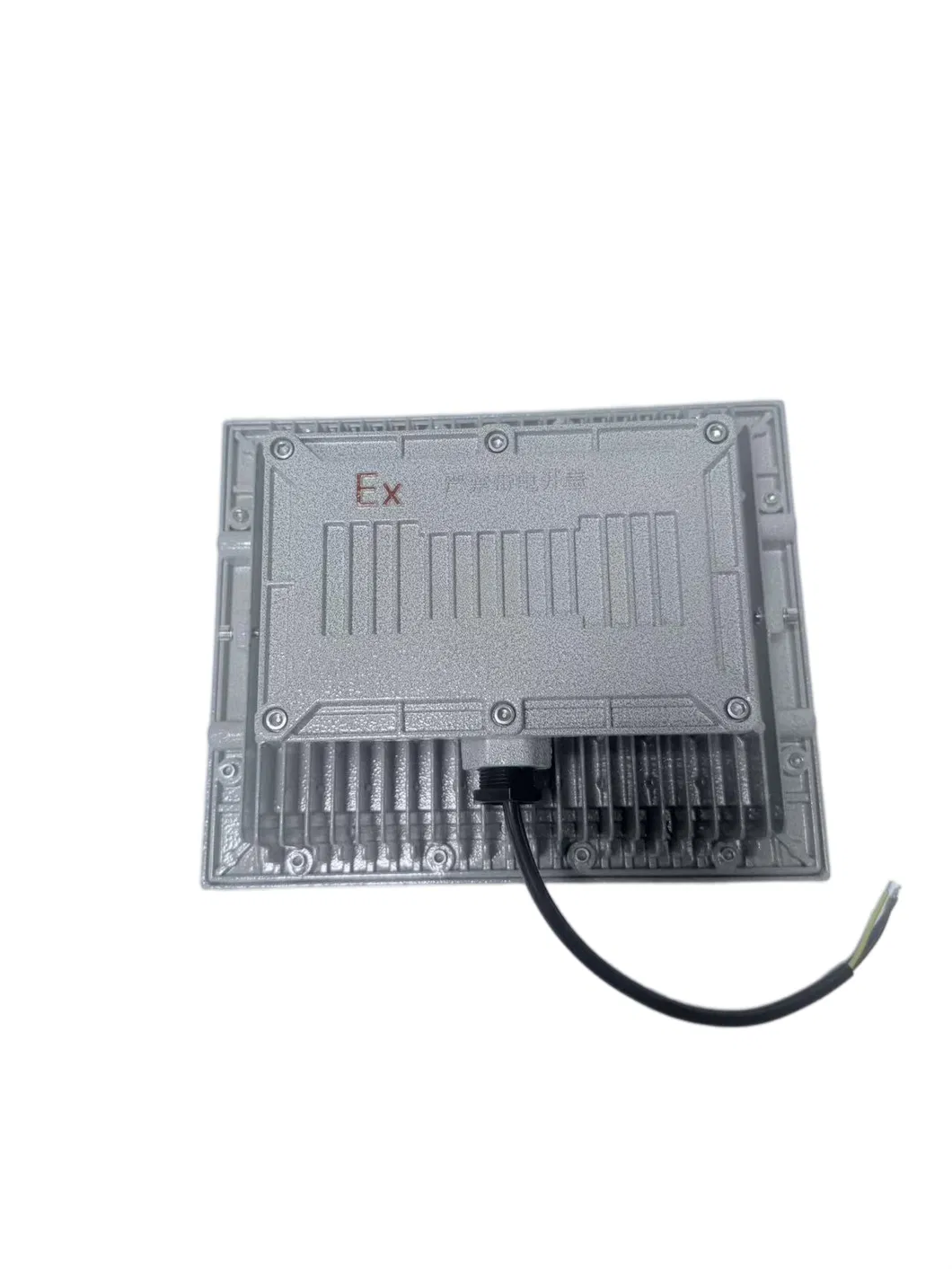 Explosion Proof Light View 6