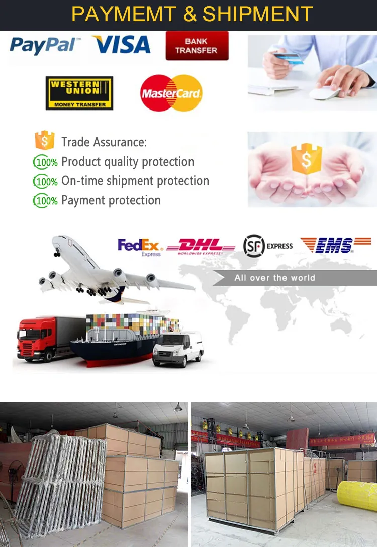 Chinese Animal Lantern 8