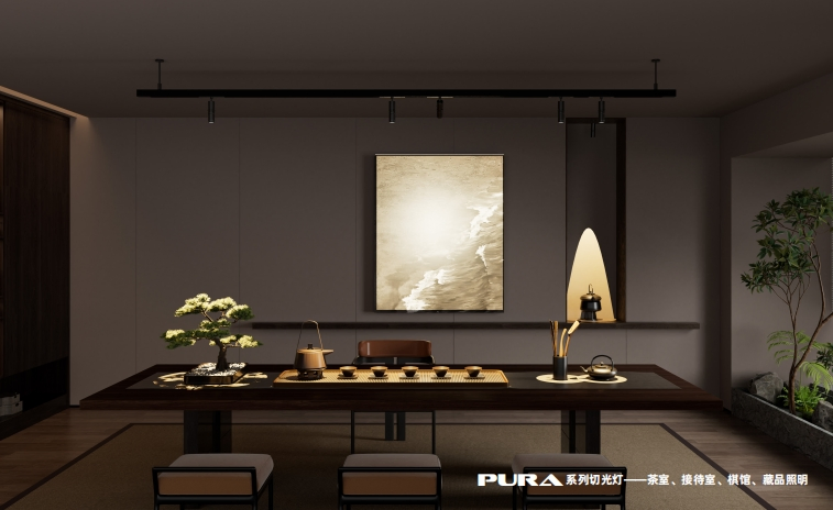 Newest Museum and Art Gallery Lighting of 3W 5W DC48V Fxed Focus Mini Size Framing Projector LED Low Voltage Track