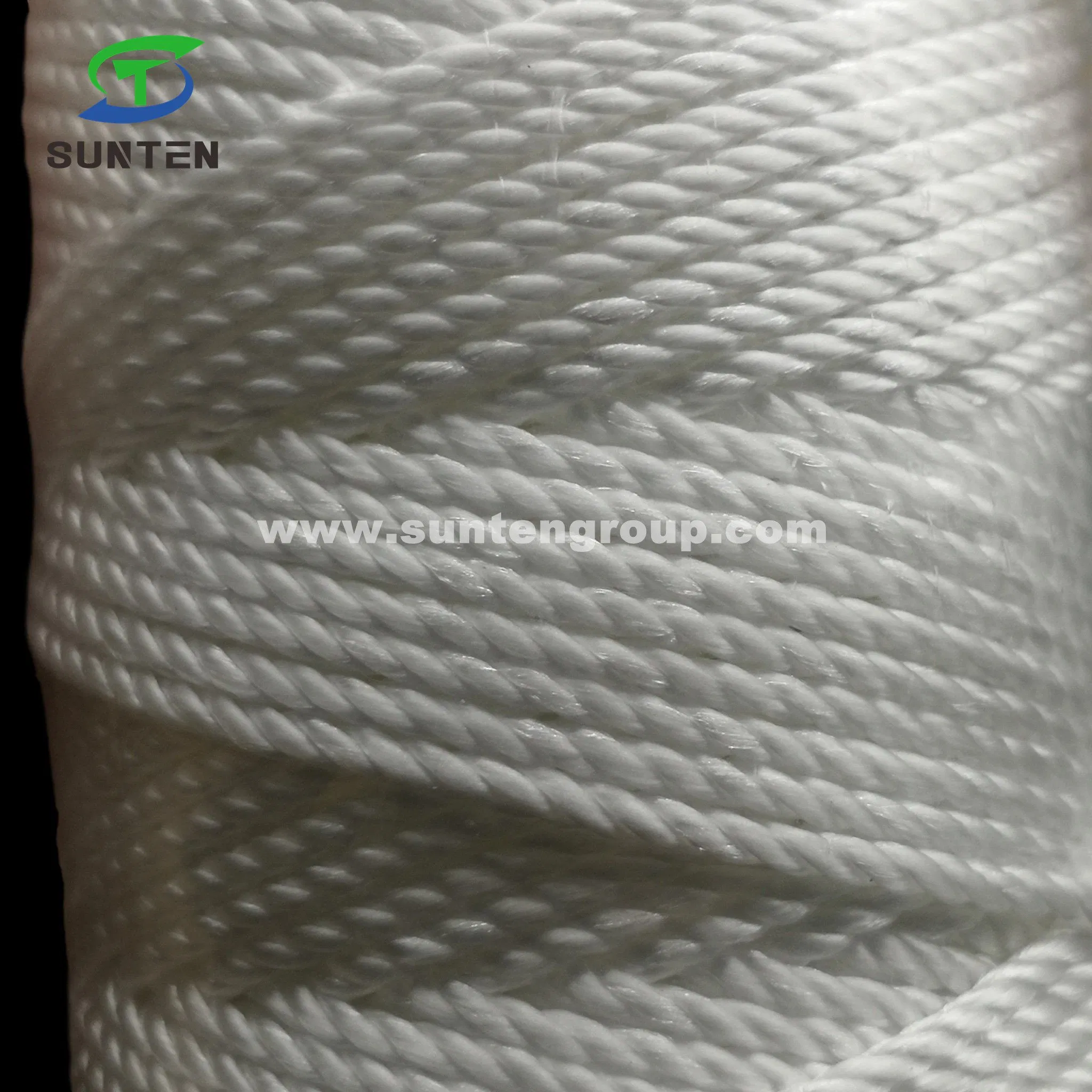 High Tenacity White PE/PP/Polyester/Nylon Plastic Twisted/Braided/Braid/Baler/Thread/Packing Line/Fishing Net String by Spool/Reel/Bobbin/Hank