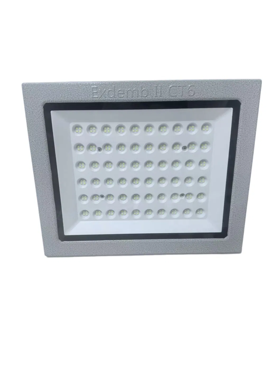 Explosion Proof Light View 1