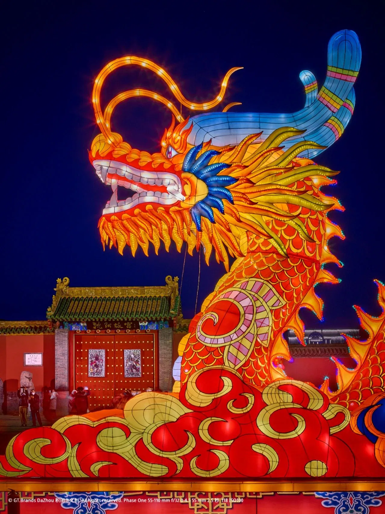 Christmas Lantern Decorative Festival Show Silk Outdoor LED Fish Waterproof Animal Chinese Lantern Park