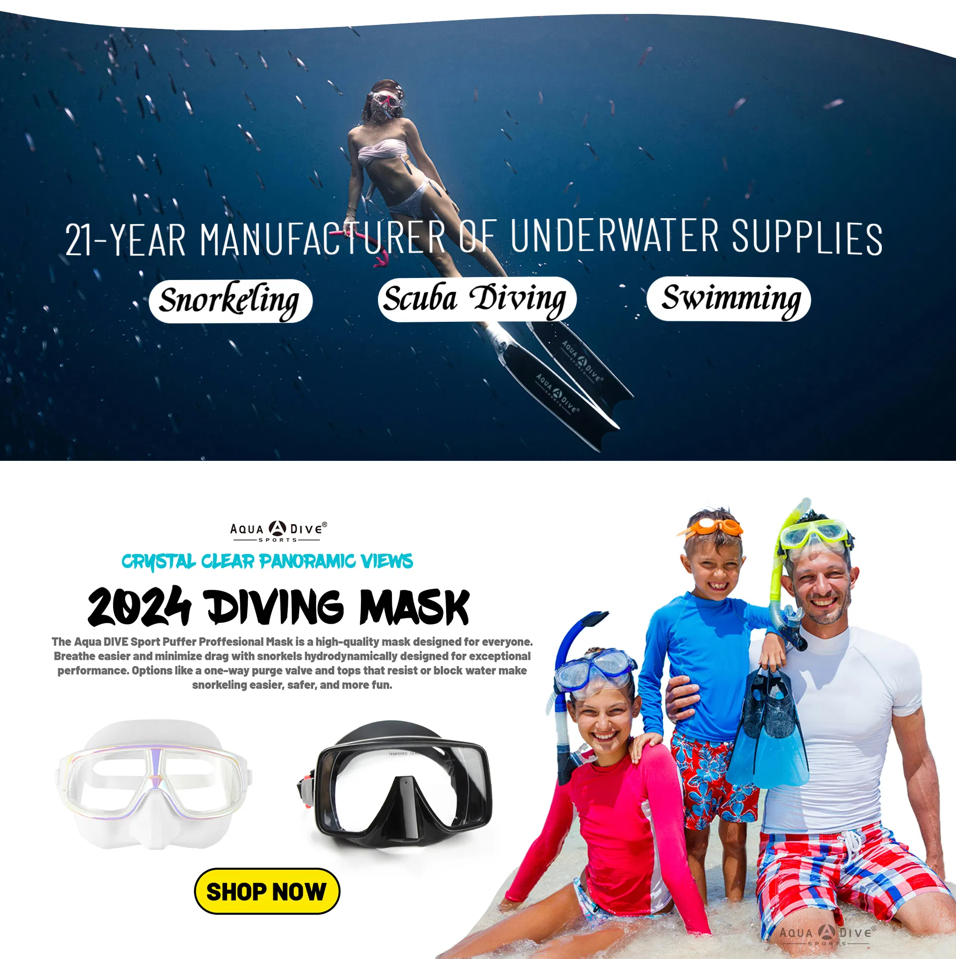 Diving Mask Overview