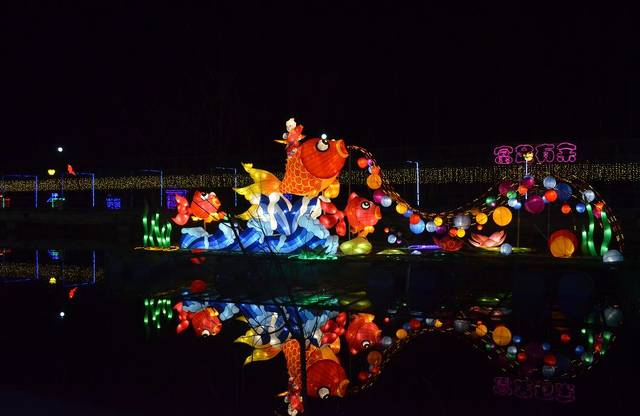 Christmas Lantern Decorative Festival Show Silk Outdoor LED Fish Waterproof Animal Chinese Lantern Park