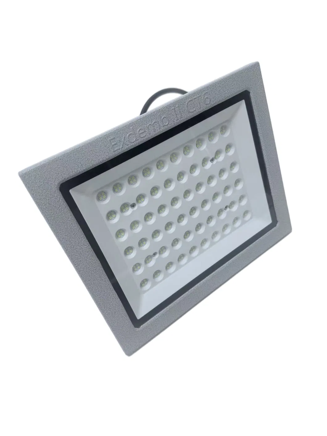 Explosion Proof Light View 3