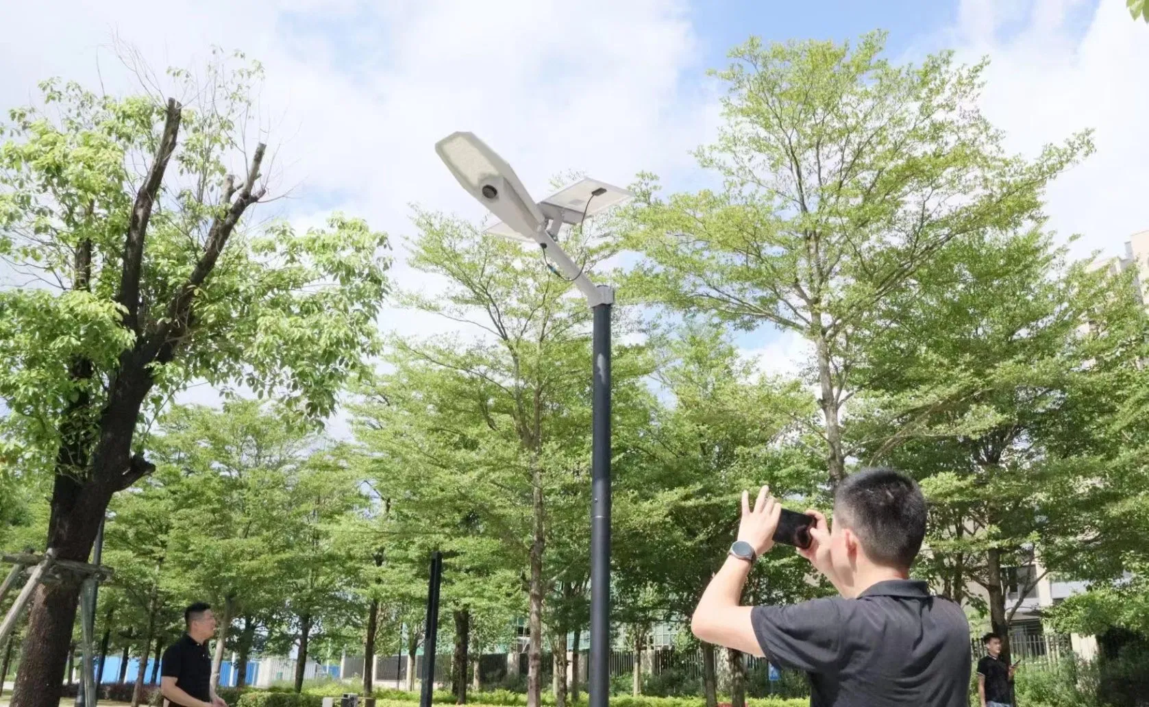 50W Solar Powered Street Lighting with Cheap Price