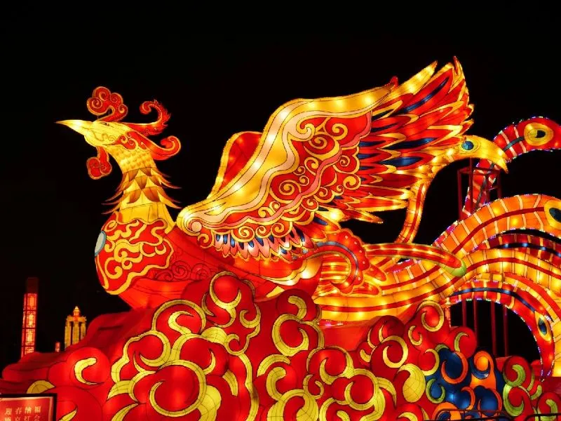 Lantern Festival Show