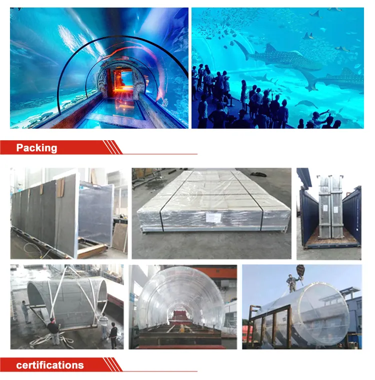 Acrylic Tunnel View 2