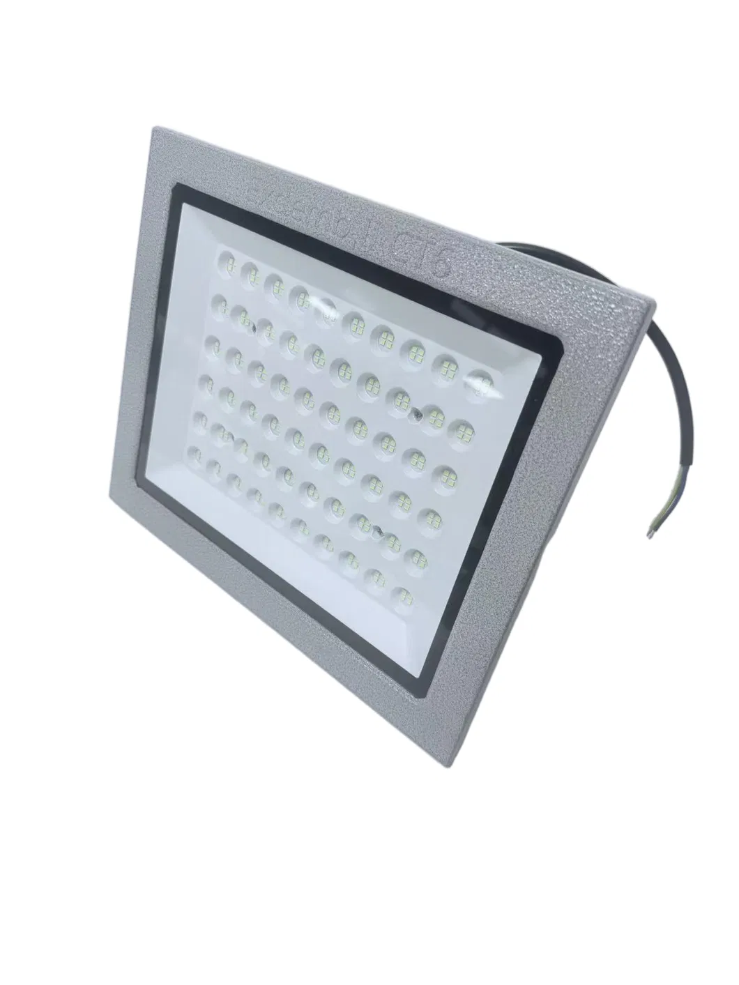 Explosion Proof Light View 2