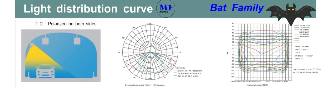 Light Distribution Curve 1