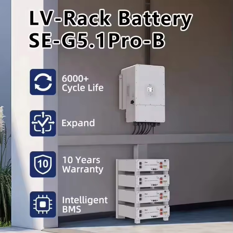 Deye 48V 100ah High Capacity Lithium Battery with Can2.0 Communication for Industrial off-Grid Power and Telecom Backup