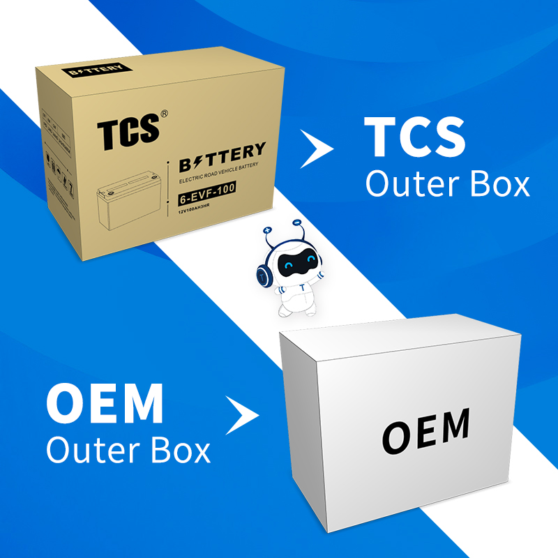 High Quality Battery 6V 200AH TCS Electric Vehicle Battery for Most Electric Road Vehicle