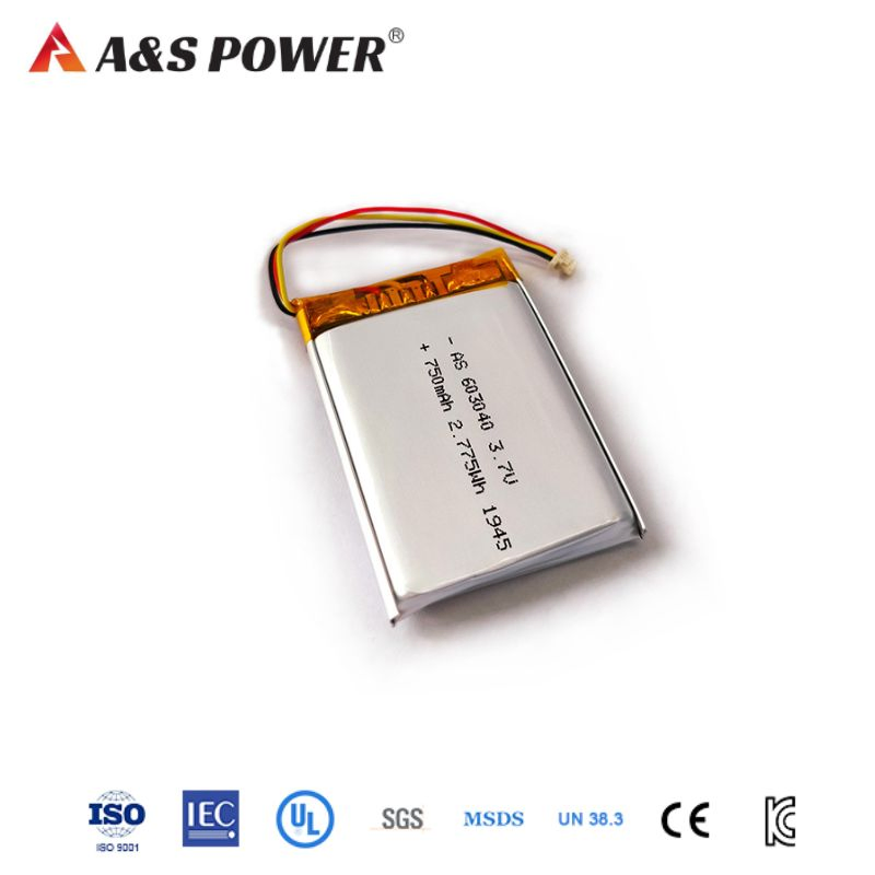 18 Years Factory UL2054 CB Kc Lipo Battery 3.7V 750mAh 603040/584070 Lithium Polymer Battery for Mobile Phone/GPS Tracking/Hearing-Aid/Earphone
