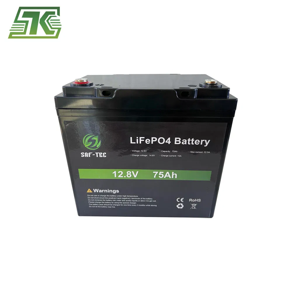 LiFePO4 Battery