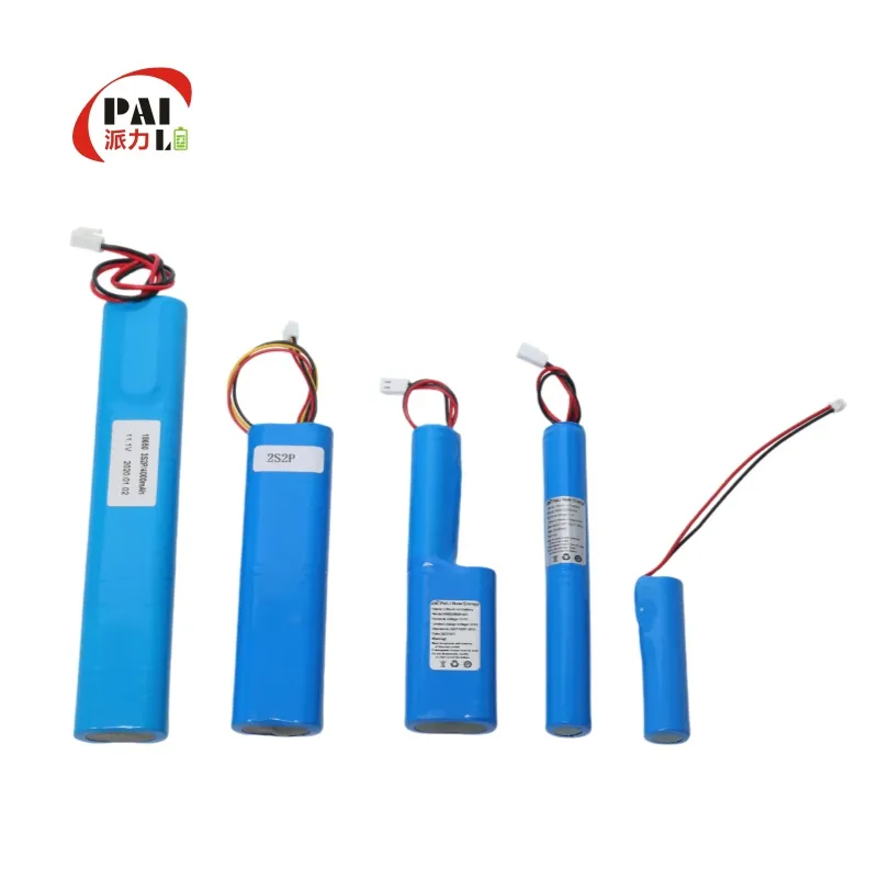 Battery Pack Detail 1