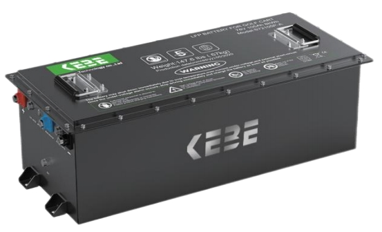 Manufactory Customized LiFePO4 Golf Cart/ Motorcycle/Bicycle/E-Bike/Forklift/Marine Battery Lithium Battery 48V 51.2V 100ah 200ah 300ah