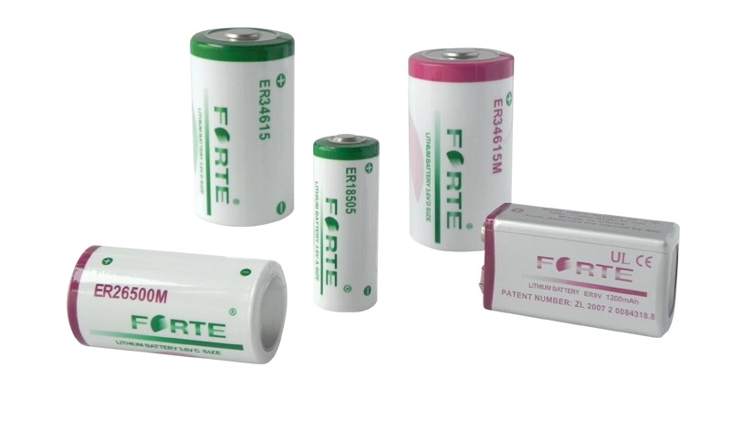 3.6V Disposable Cylindrical Non-Rechargeable Primary Lithium Battery Er14505 AA Industrial Battery