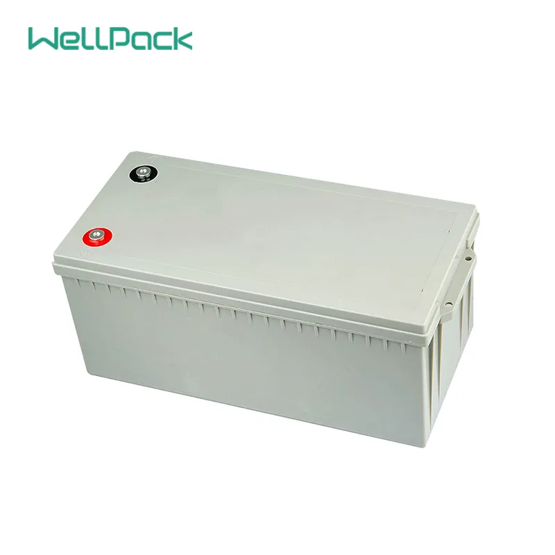 LiFePO4 Battery Cell View 1