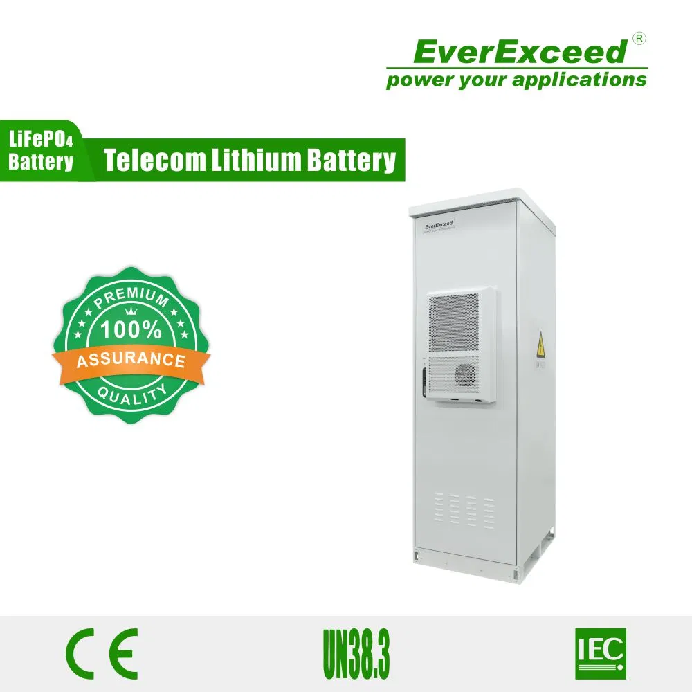 Customizable Outdoor Cabinet with 48V900ah Lithium Battery for Telecommunications Power Backup