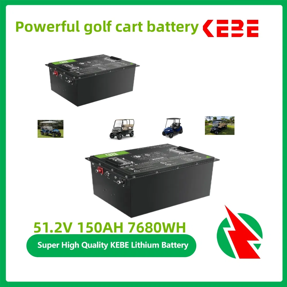 Manufactory Customized LiFePO4 Golf Cart/ Motorcycle/Bicycle/E-Bike/Forklift/Marine Battery Lithium Battery 48V 51.2V 100ah 200ah 300ah