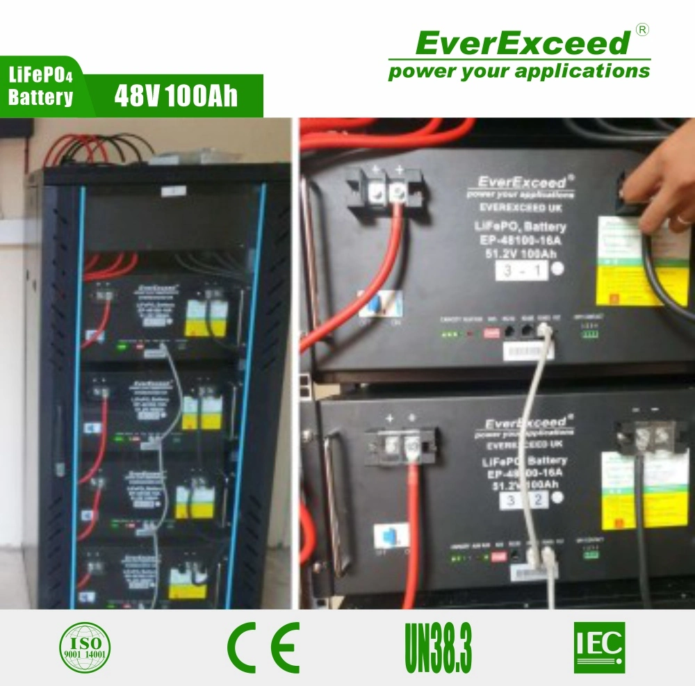 Everexceed 6000+ Cycle Times 48V 100ah Rechargeable LiFePO4 Lithium Ion Solar Battery