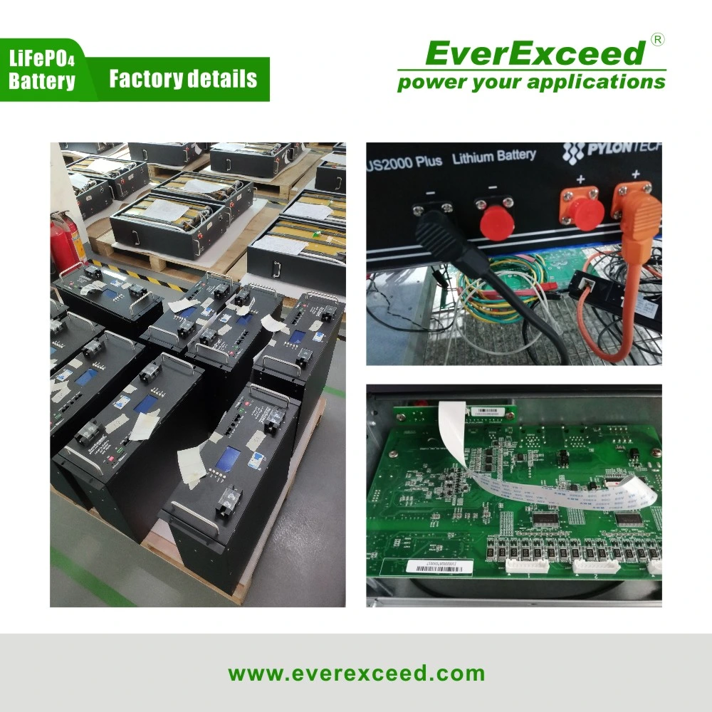 Everexceed 6000+ Cycle Times 48V 100ah Rechargeable LiFePO4 Lithium Ion Solar Battery