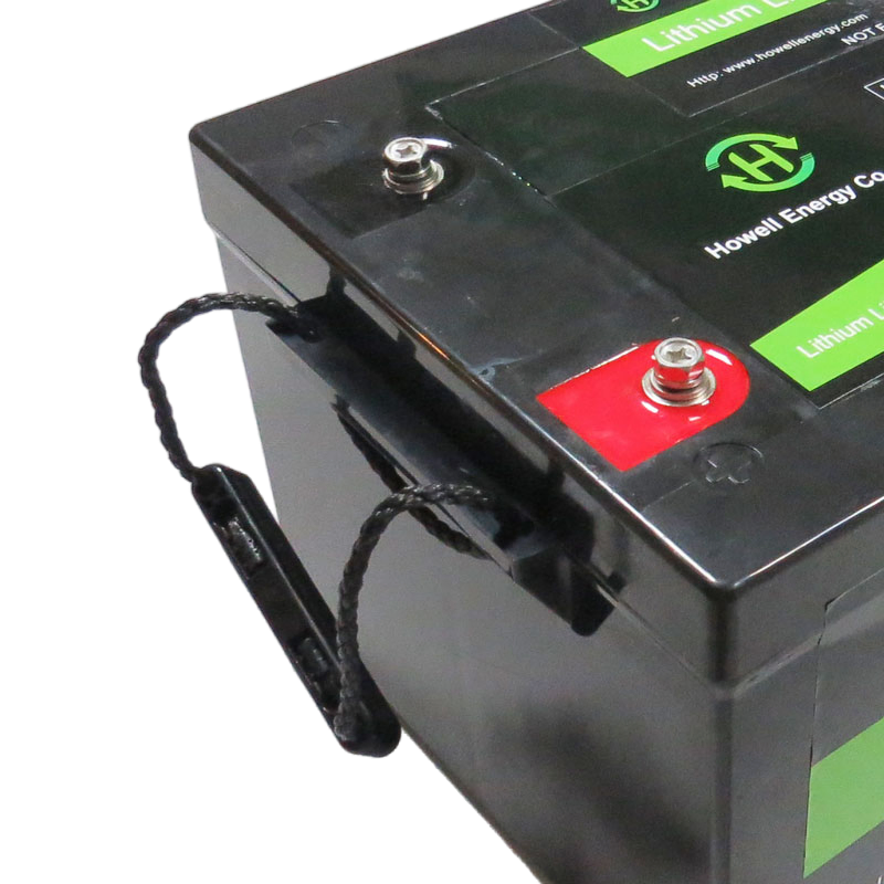 Rechargeable Solar Storage Battery 12.8V 100ah 12V 24V 48V 200ah Lithium Iron Phosphate LFP LiFePO4 Battery Pack for Solar Lighting/Telecom/RV/Marine/Golf/UPS/