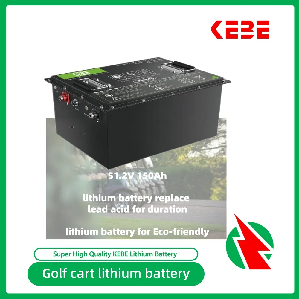Manufactory Customized LiFePO4 Golf Cart/ Motorcycle/Bicycle/E-Bike/Forklift/Marine Battery Lithium Battery 48V 51.2V 100ah 200ah 300ah